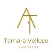 Velloso Consultoria