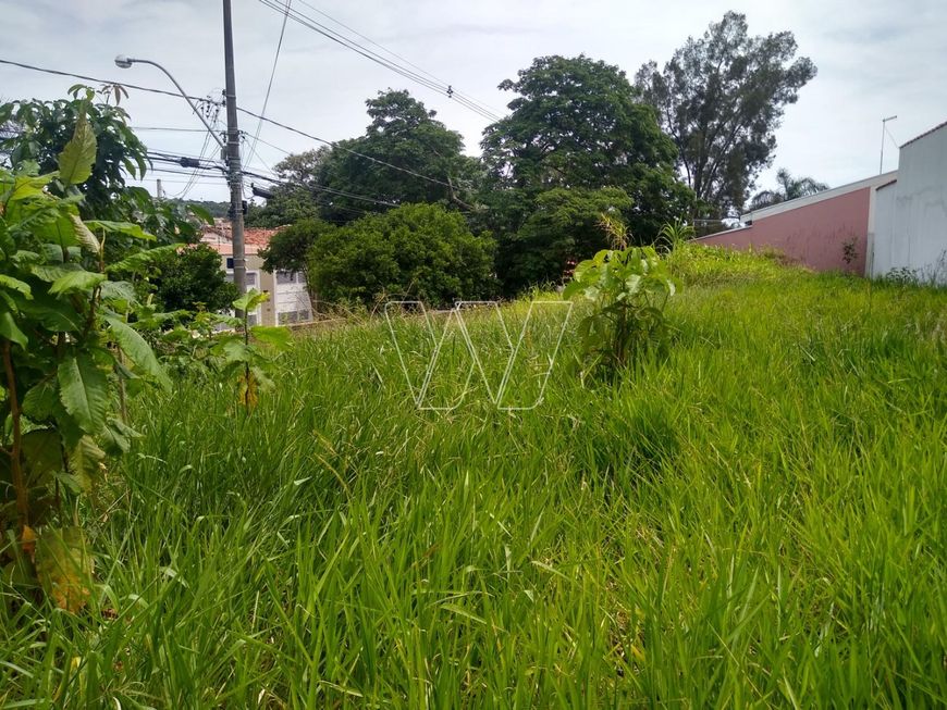 terreno - Vila Sônia (Sousas) - Campinas