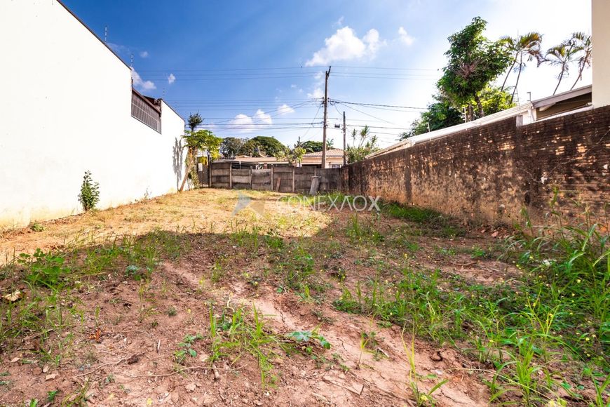 terreno - Jardim Proença - Campinas
