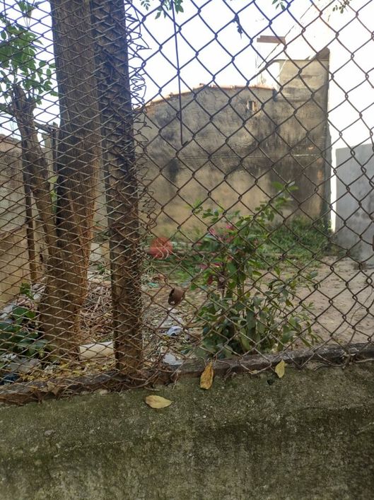 Casa no Parque Colonial em São Mateus. Bom para renda ou para construtores.