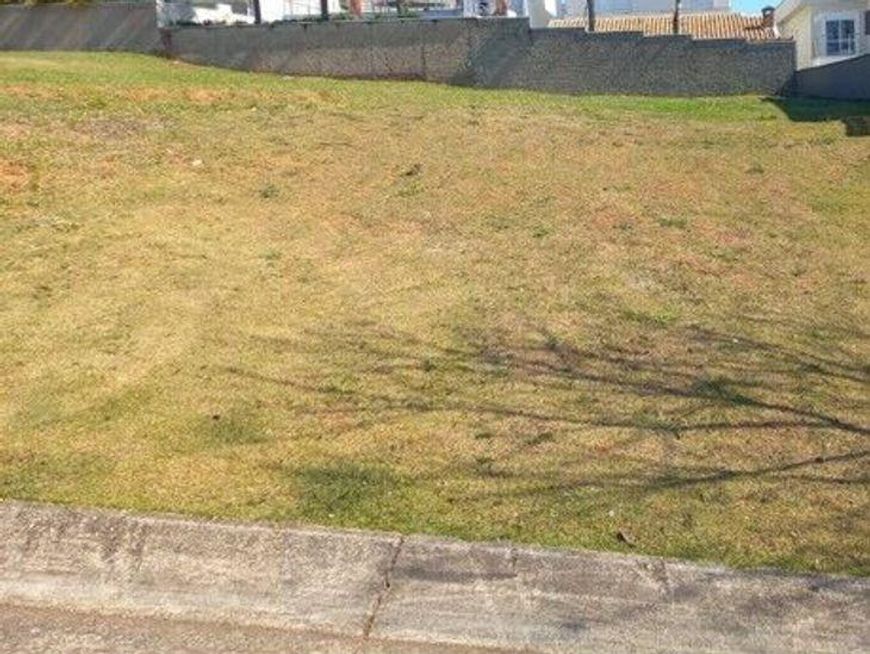 terreno - Swiss Park - Campinas