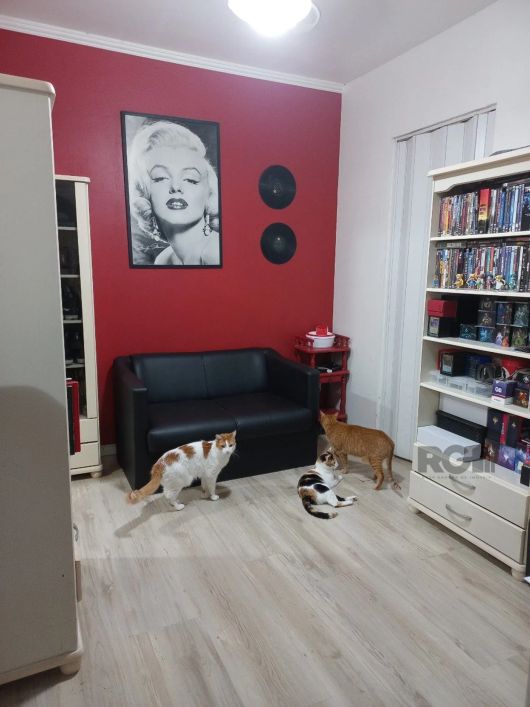 JKzão amplo, transformado em 1 dormitório, de fundos, iluminado, silencioso, composto por dormitório