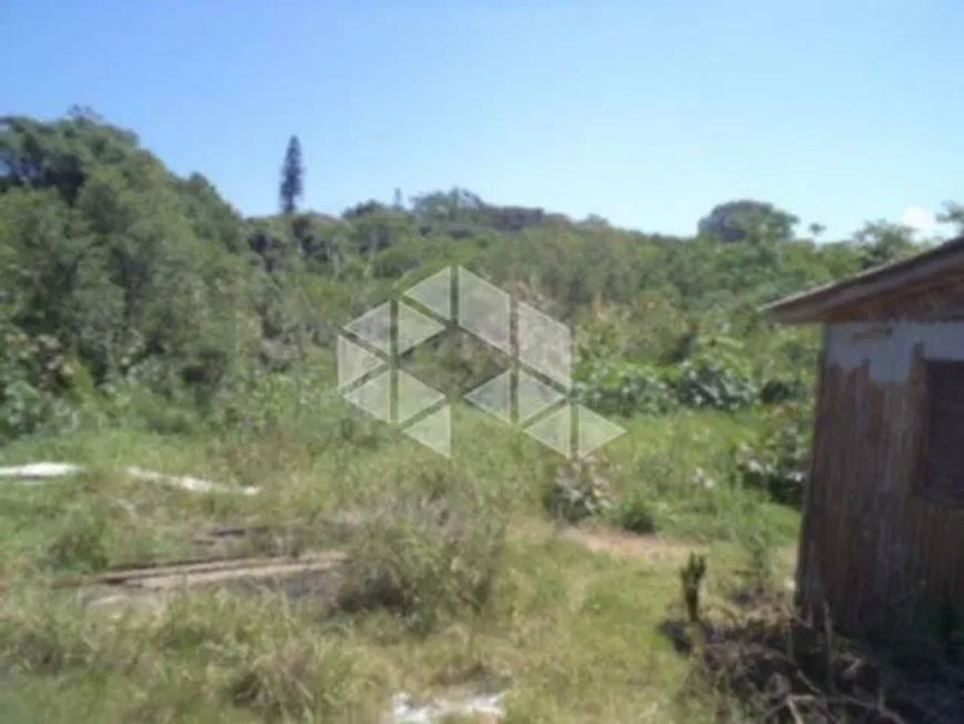 Lote/Terreno em VILA NOVA