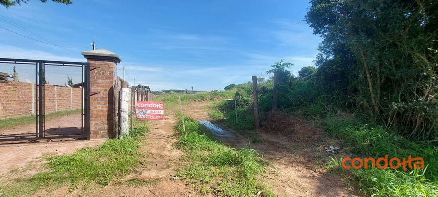 Terreno para alugar, 6000 m² por R$ 4.000,00/mês - Lageado - Porto Alegre/RS