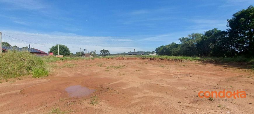 Terreno para alugar, 6000 m² por R$ 4.000,00/mês - Lageado - Porto Alegre/RS