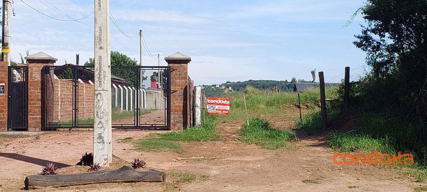 Terreno para alugar, 6000 m² por R$ 4.000,00/mês - Lageado - Porto Alegre/RS