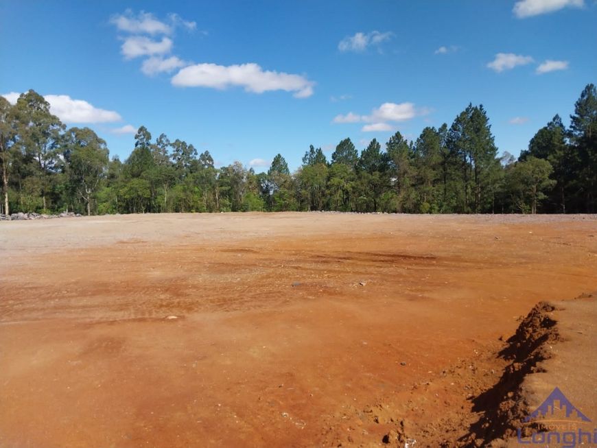 TERRENO INDUSTRIAL