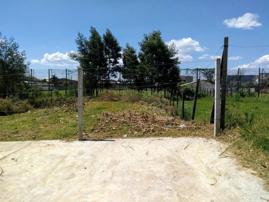 Terreno Pioneiro Caxias do Sul