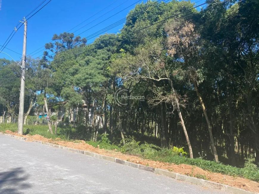 Terreno com 2.152,50 m² &amp;amp;#10004;Posição solar Norte &amp;amp;#128205;Caxias do Sul, Nossa Senhora do