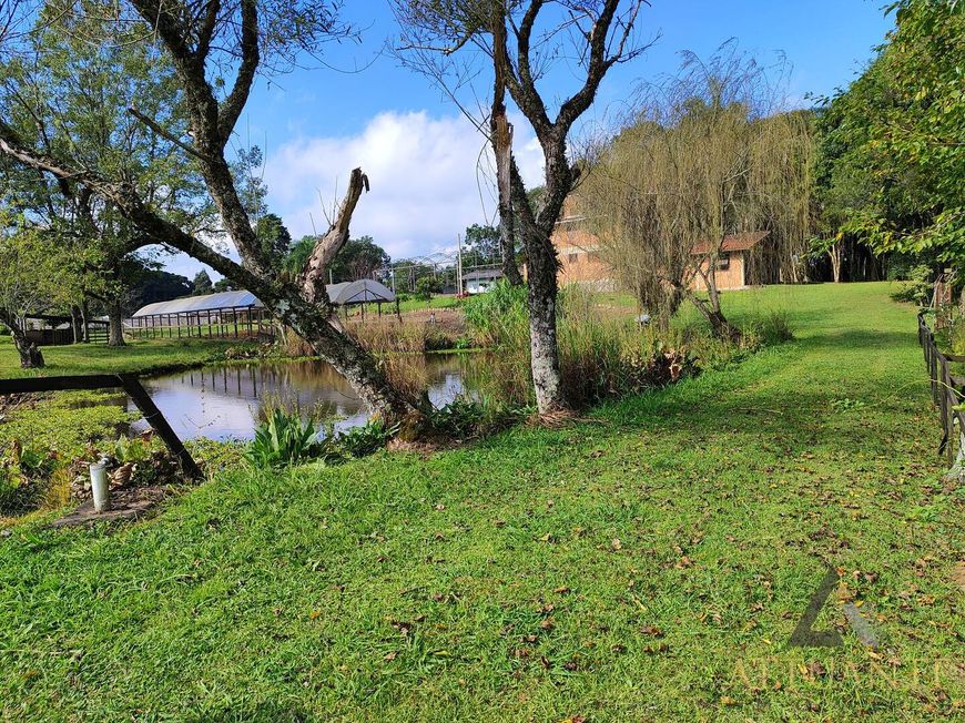 Chácara em Ana Rech com 9,3 hectares