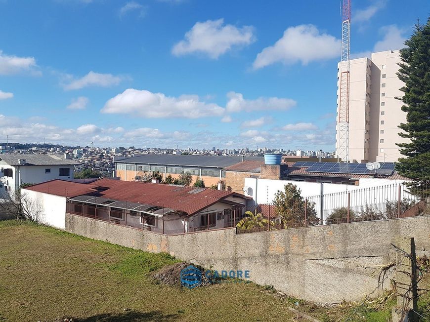 Terreno em avenida bairro Pioneiro, Caxias do Sul