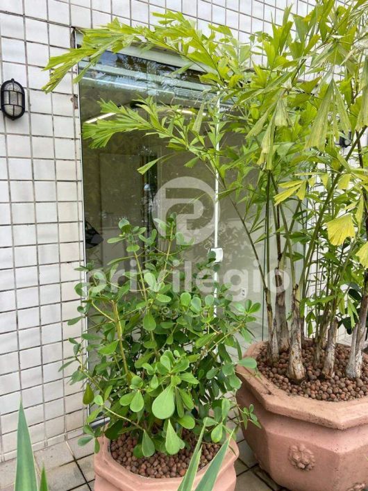 Cobertura à venda, 6 quartos, 2 vagas, BARRA DA TIJUCA - RIO DE JANEIRO/RJ