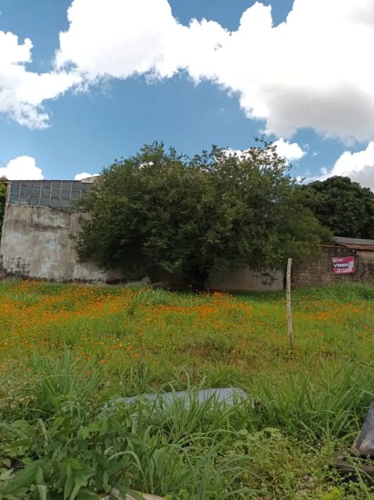Lote para venda com 467 metros quadrados em Jardim Presidente - Goiânia - GO