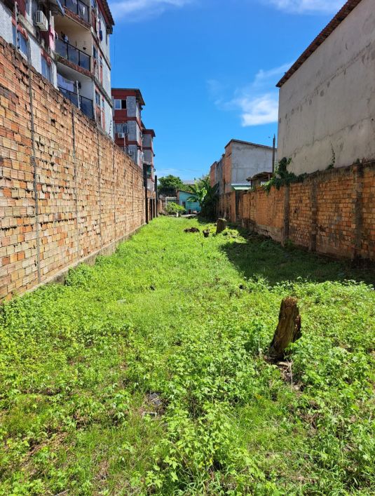 Terreno com casa na Marquês de Herval para investidores