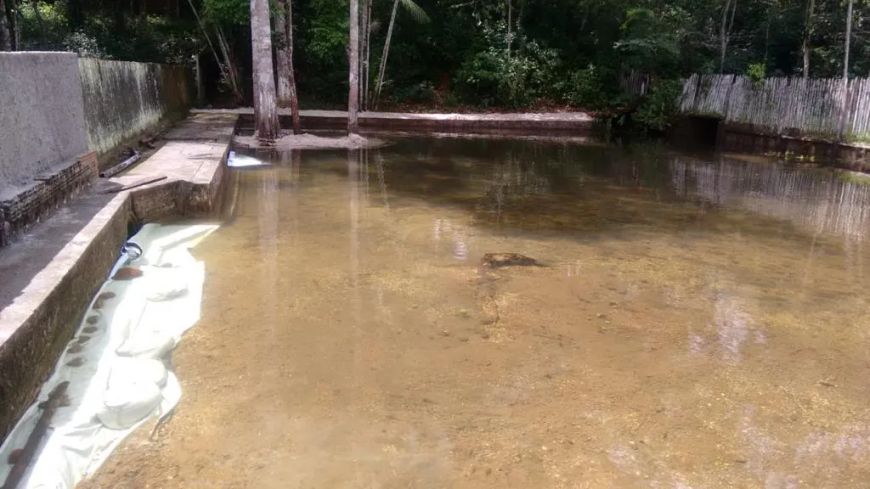 BELISSIMO SITIO ESTRADA DE MOSQUEIRO para venda com 88000M² COM CASA SEDE PRONTA E MOBILIADA