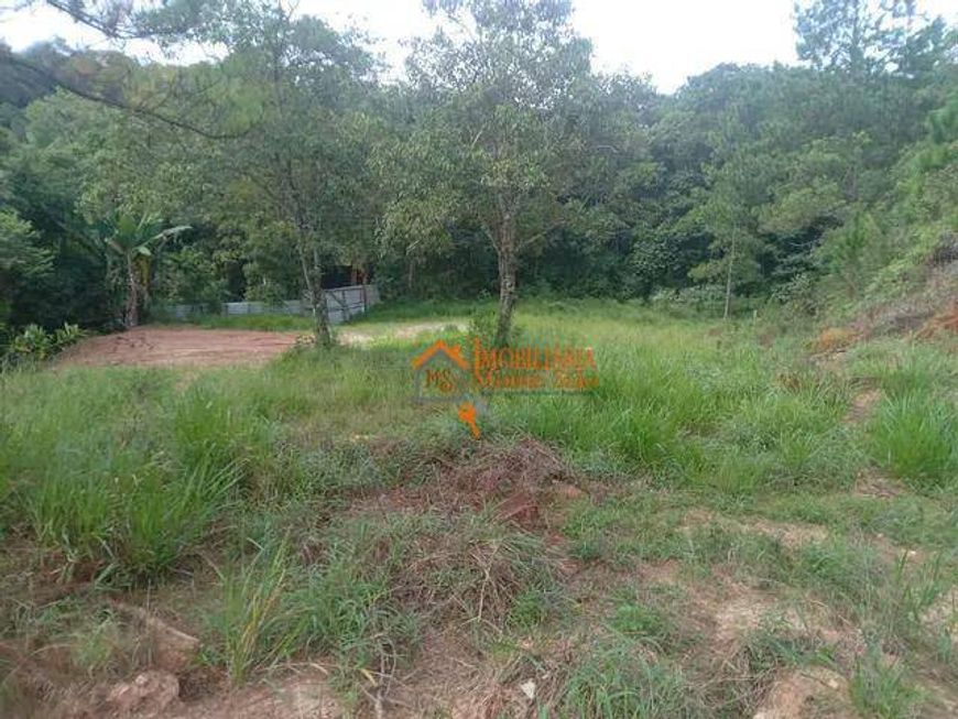 Terreno à venda, 5000 m² por R$ 2.500.000,00 - Chácara das Lavras - Guarulhos/SP