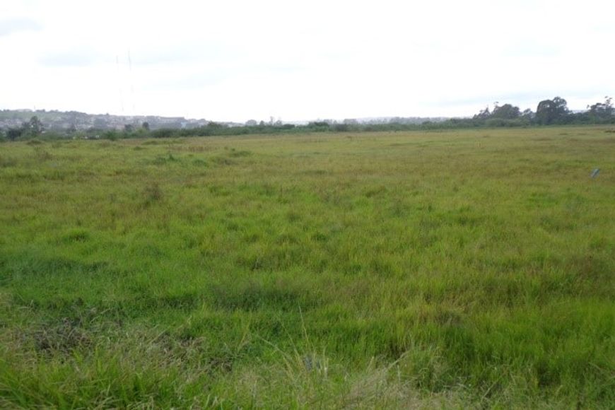 Lote/Terreno para venda com 31460 metros quadrados em Cidade Tupinambá - Guarulhos - São Paulo