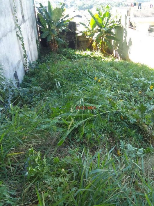 Terreno à venda, 1025 m² por R$ 250.000,00 - Jardim Fortaleza - Guarulhos/SP