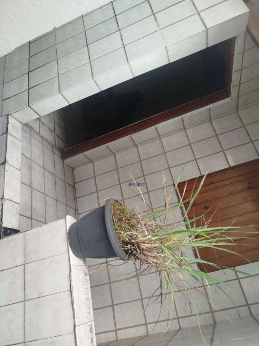 Sobrado 4 quartos