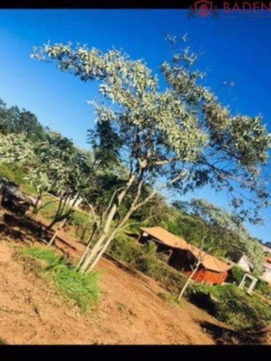 Terreno à venda em Campinas, Joaquim Egídio, com 1500 m²