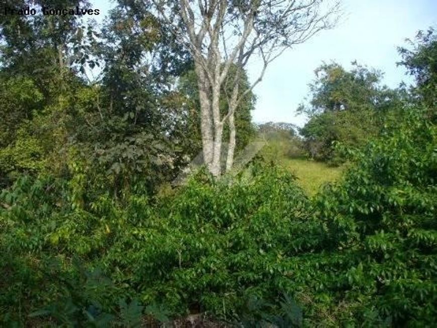 terreno - Sousas - Campinas