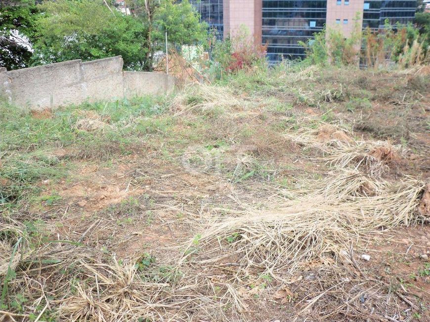 terreno - Nova Campinas - Campinas