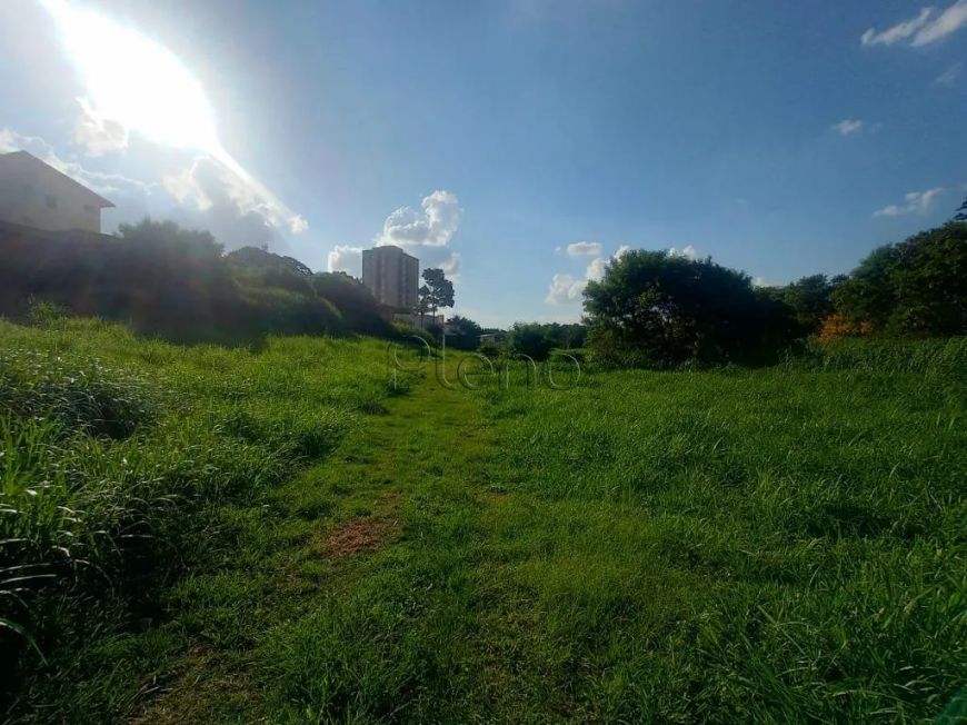 Terreno à venda com 354 m² no Nova Campinas, Campinas.