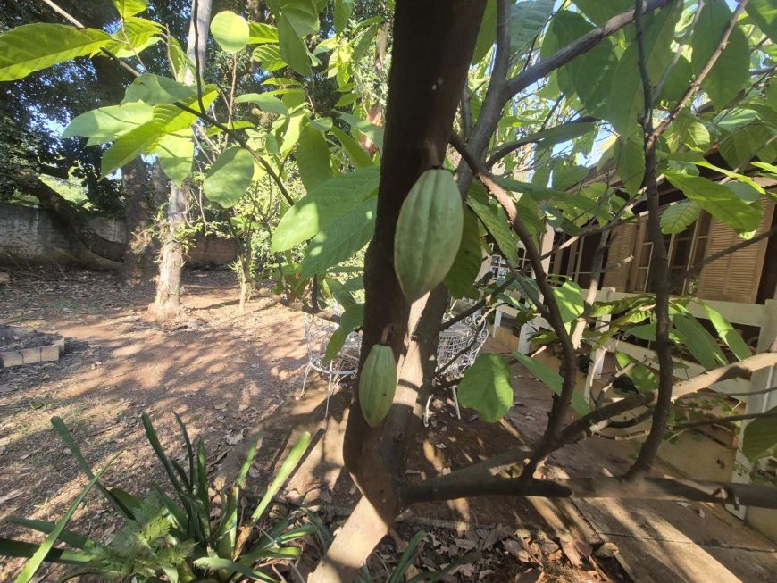 Chácara para venda com 1250m² e 4 vagas em Campinas