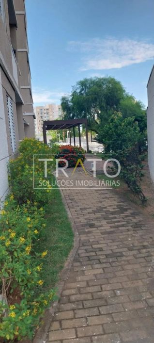 apartamento - Jardim Roseira - Campinas