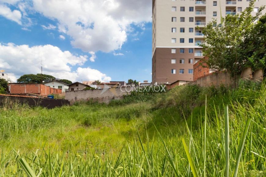 terreno - Vila João Jorge - Campinas