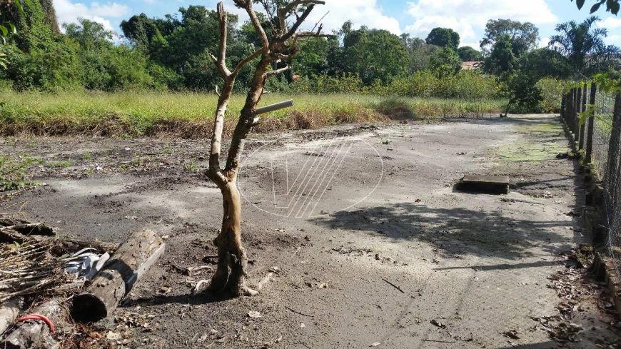 terreno - Barão Geraldo - Campinas