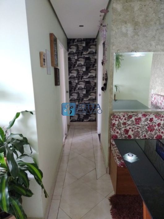 apartamento - Jardim Dom Vieira - Campinas