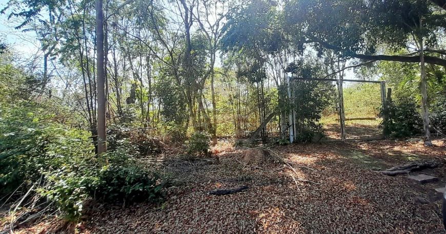 Terreno Excepcional à Venda em Bosques de Notre Dame- 10.385m²