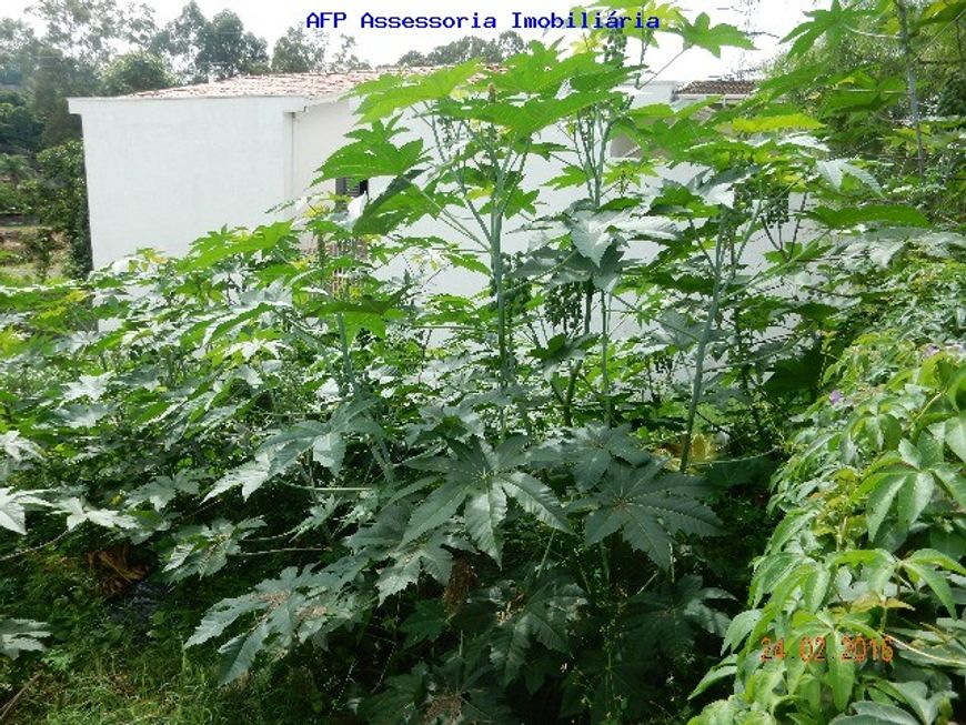 TERRENO RESIDENCIAL em CAMPINAS - SP, JARDIM SAO CARLOS