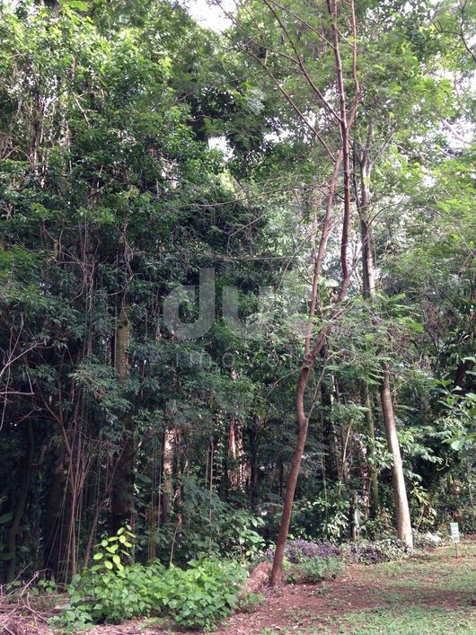 terreno - Chácaras São Quirino - Campinas