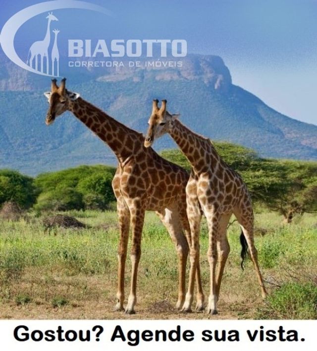 Terreno comercial para Venda Jardim Bela Vista, Campinas