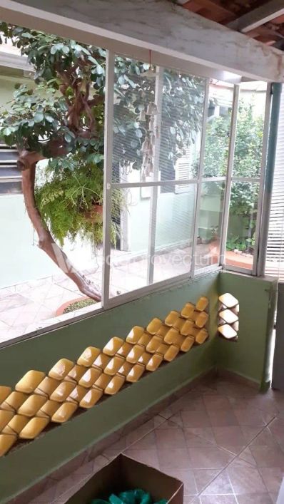casa - Centro - Campinas