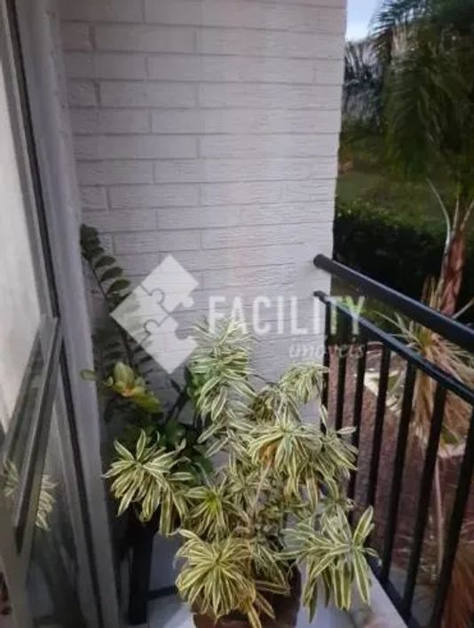 apartamento - Parque Jambeiro - Campinas