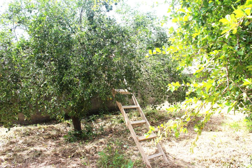 Casa para venda tem 150 metros quadrados com 3 quartos em Maria Paula - São Gonçalo - RJ