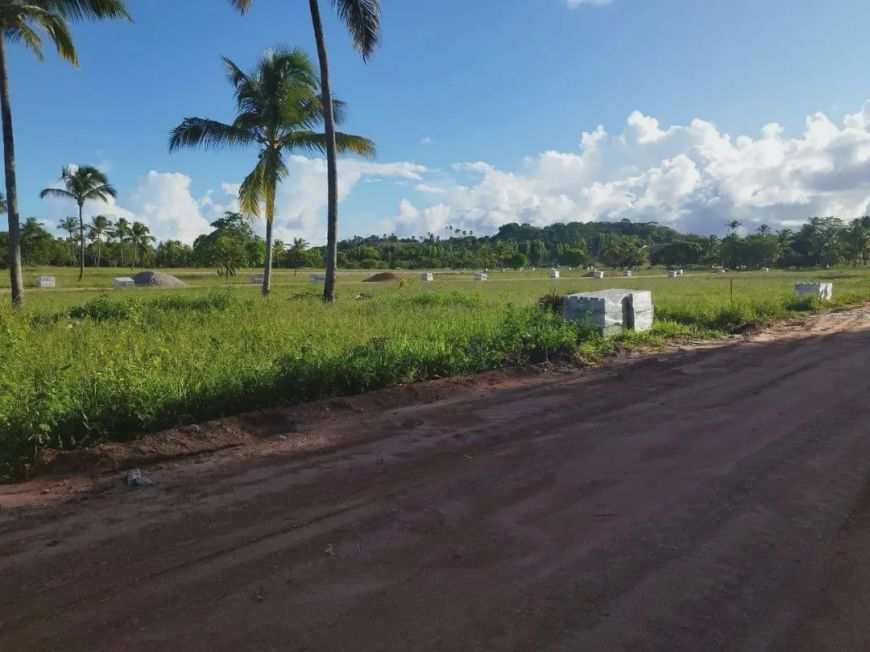 Lote à venda em rua pública, PONTA DO MANGUE, Maragogi, AL