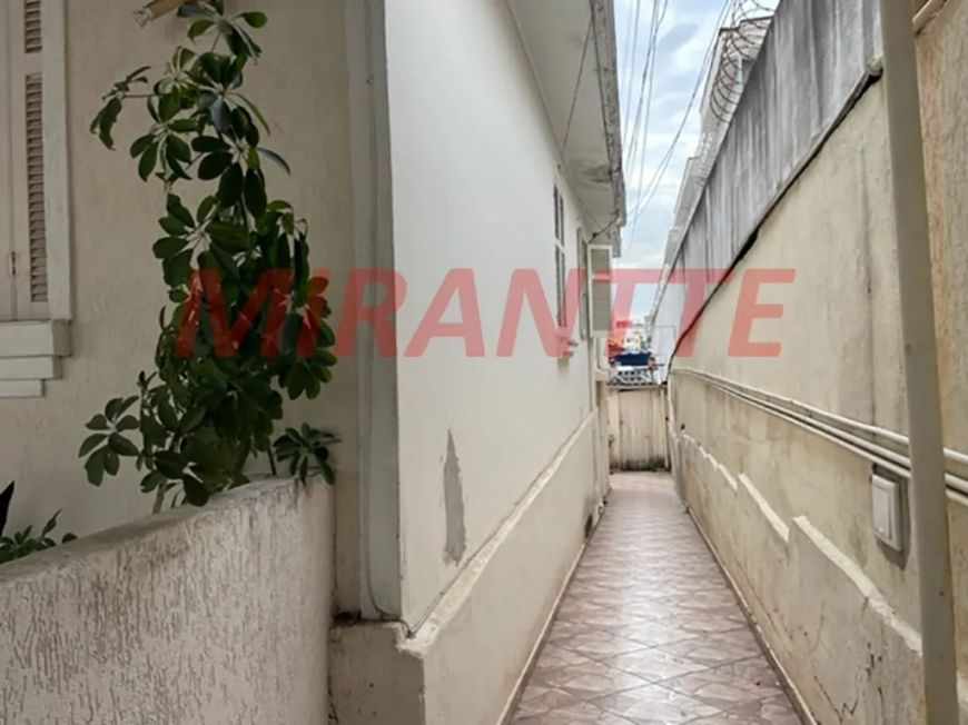Terreno de 262m² em Parada Inglesa