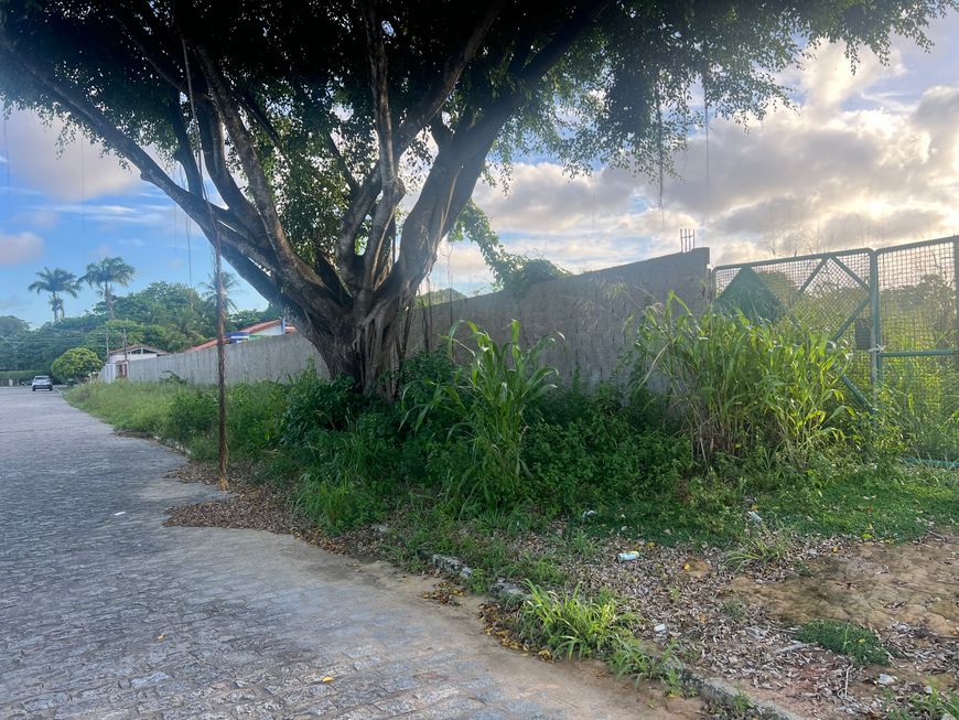 Terreno Comercial para aluguel no Barro Duro - Maceió - AL
