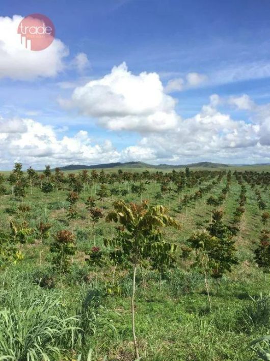 Fazenda à venda, 3000000 m² por R$ 30.000.000,00 - Zona Rural - Maceió/AL