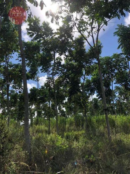Fazenda à venda, 3000000 m² por R$ 30.000.000,00 - Zona Rural - Maceió/AL