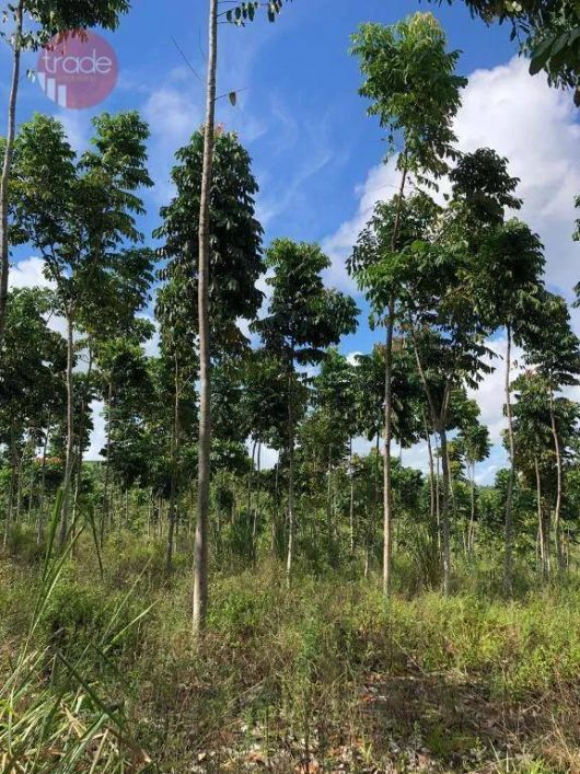 Fazenda à venda, 3000000 m² por R$ 30.000.000,00 - Zona Rural - Maceió/AL