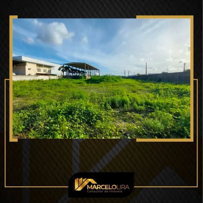 ALUGO AREA COM 3.750 m2 AS MARGENS DA BR 104 EM MACEIÓ.