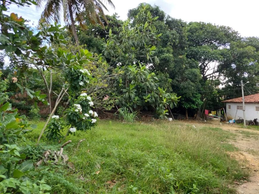 Lote/Terreno para venda tem 1200 metros quadrados com 1 quarto em Barro Duro - Maceió - AL