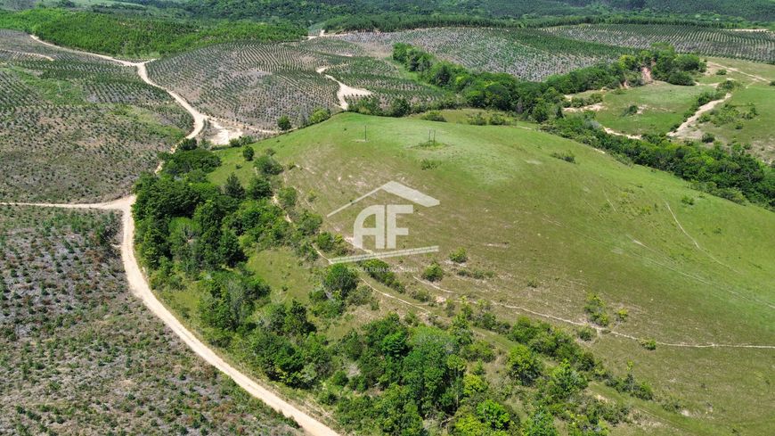 Ótima fazenda com 55 hectares localizada em Ipioca.