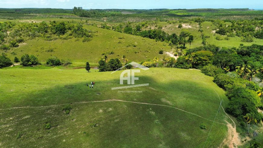 Ótima fazenda com 55 hectares localizada em Ipioca.