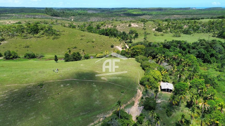 Ótima fazenda com 55 hectares localizada em Ipioca.